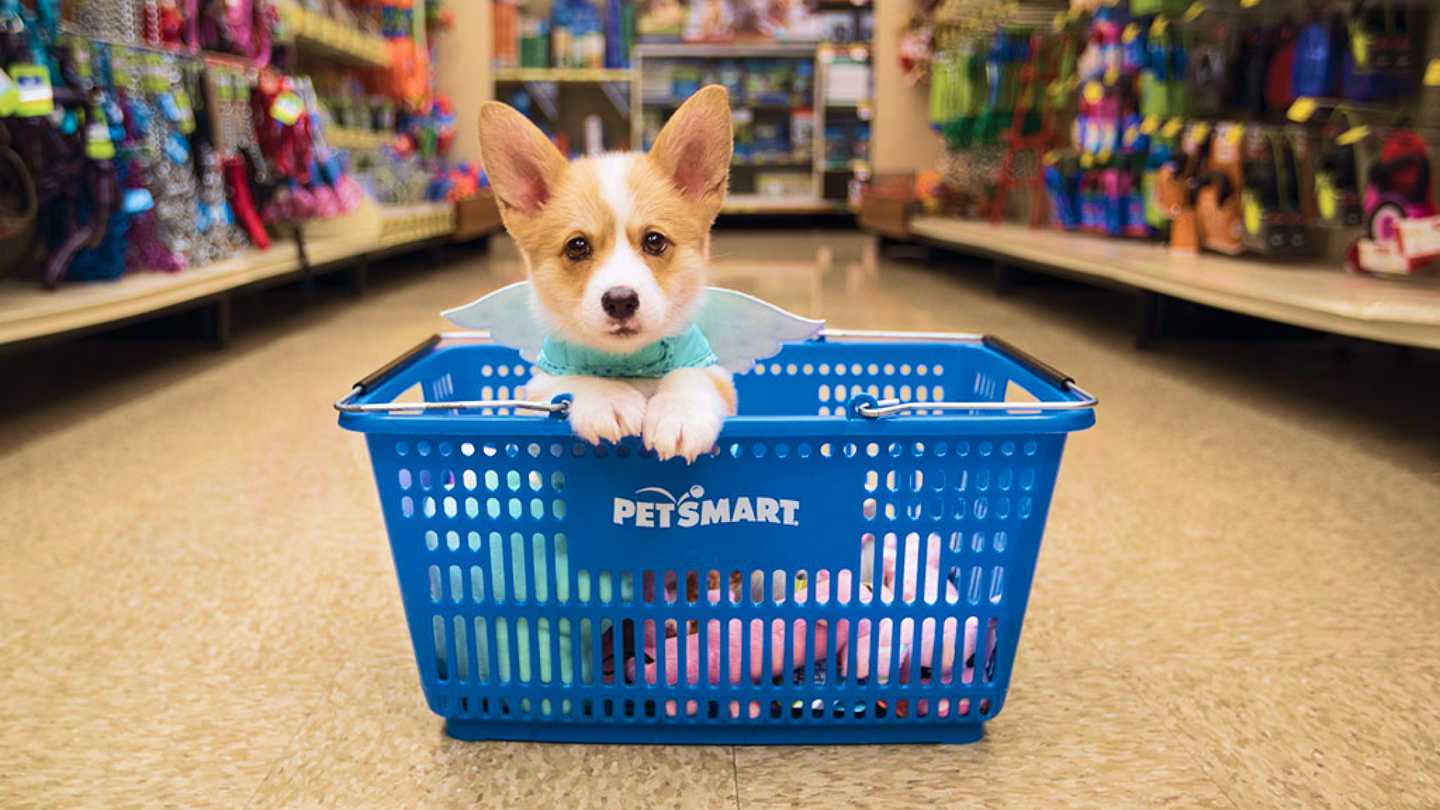 petsmart