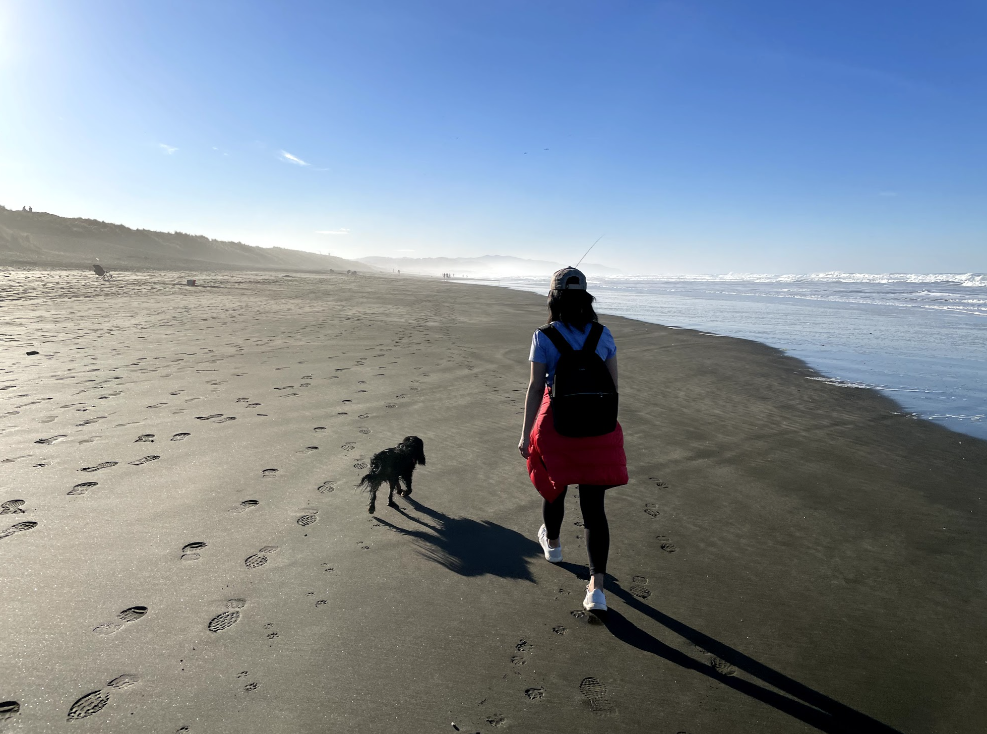 walking on the beach with dog