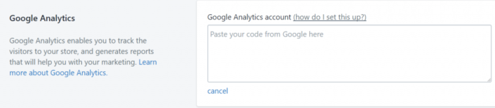 screenshot of the field where you paste your Google Analytics code in Shopify to set up integration