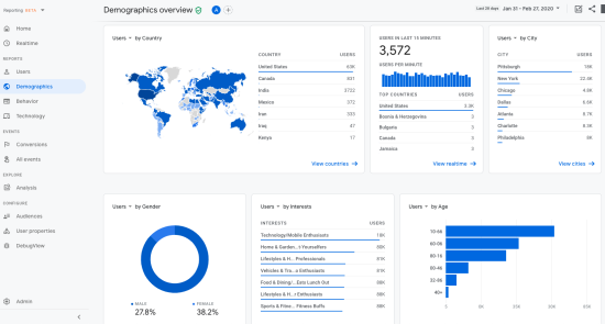 screen grab of sample Demographics Report